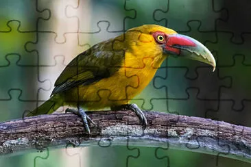 Toy jigsaw puzzle