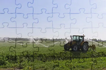 Toy jigsaw puzzle