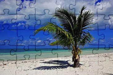 Toy jigsaw puzzle