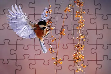 Toy jigsaw puzzle