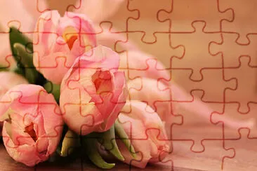 OK jigsaw puzzle