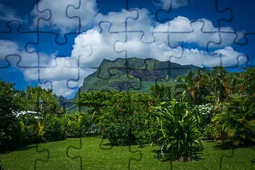 Toy jigsaw puzzle