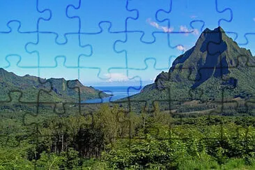 Toy jigsaw puzzle