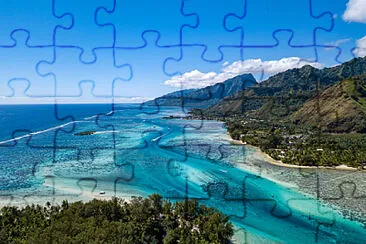 Toy jigsaw puzzle