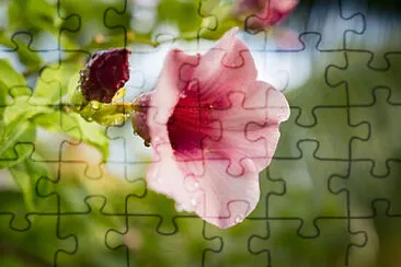 Toy jigsaw puzzle