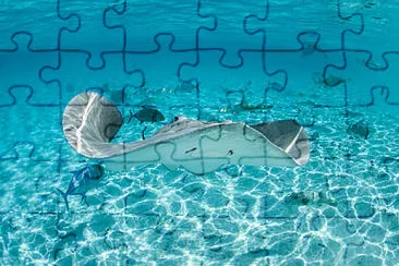 Toy jigsaw puzzle