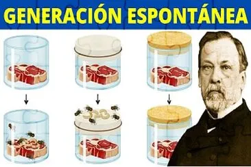 Generación espontánea