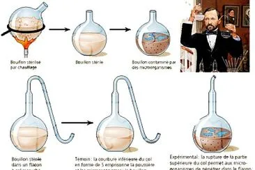 פאזל של LOUIS PASTEUR