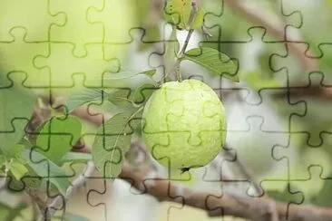 imagem jigsaw puzzle