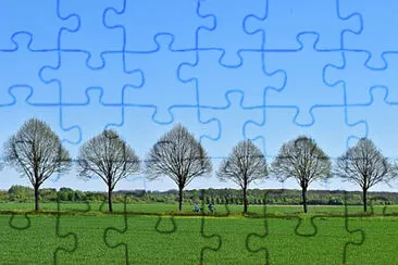 Toy jigsaw puzzle