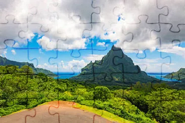 Toy jigsaw puzzle