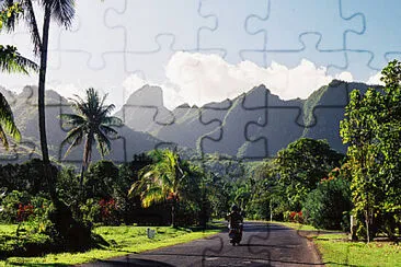 Toy jigsaw puzzle