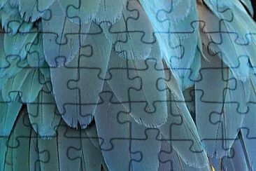 Toy jigsaw puzzle