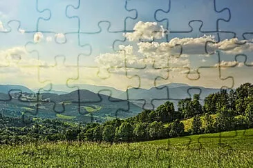 Toy jigsaw puzzle