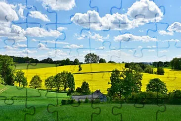 Toy jigsaw puzzle