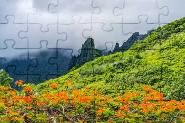 Toy jigsaw puzzle