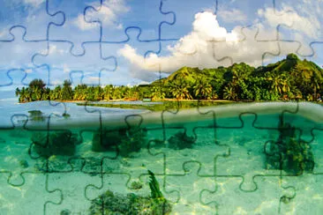 Toy jigsaw puzzle