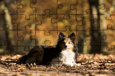 Toy jigsaw puzzle