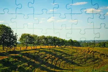 Toy jigsaw puzzle