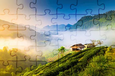 Toy jigsaw puzzle