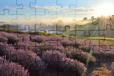 Toy jigsaw puzzle