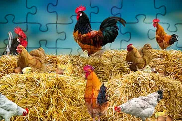 Toy jigsaw puzzle