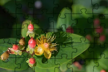 Toy jigsaw puzzle