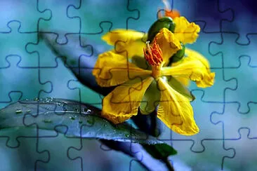 Toy jigsaw puzzle