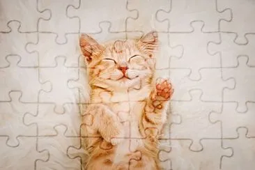  jigsaw puzzle