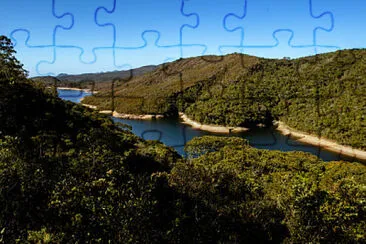 Toy jigsaw puzzle