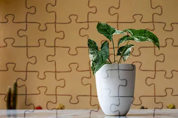 Toy jigsaw puzzle