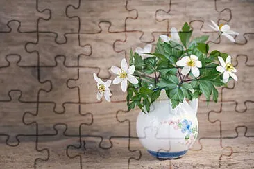 Toy jigsaw puzzle