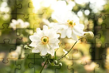 Toy jigsaw puzzle