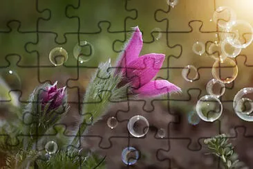 Toy jigsaw puzzle