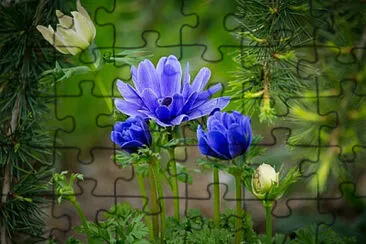 Toy jigsaw puzzle