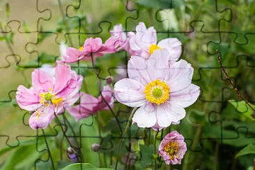 Toy jigsaw puzzle