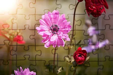 Toy jigsaw puzzle