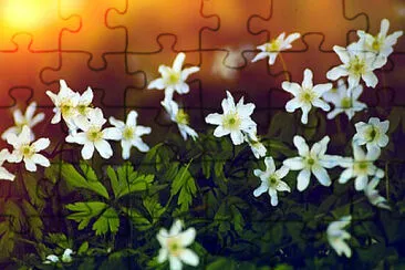 Toy jigsaw puzzle