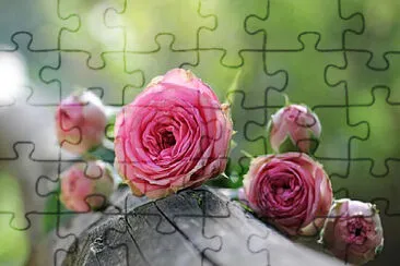 Toy jigsaw puzzle