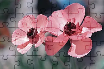 Toy jigsaw puzzle