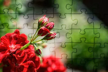 Toy jigsaw puzzle