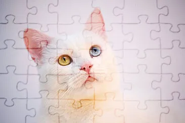 Toy jigsaw puzzle