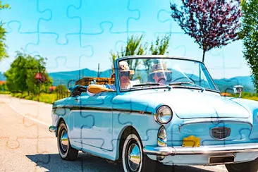 Toy jigsaw puzzle