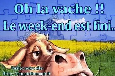 La vache !