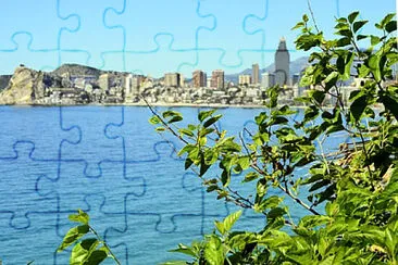 Toy jigsaw puzzle