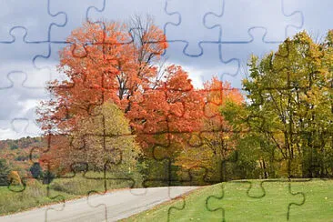 Toy jigsaw puzzle