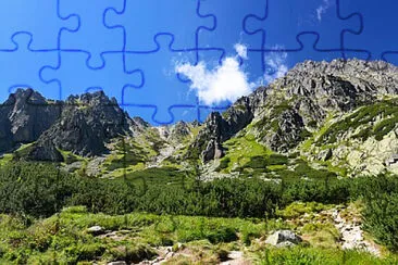 Toy jigsaw puzzle