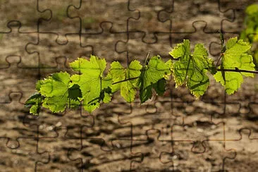 Toy jigsaw puzzle