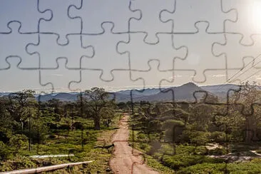 Toy jigsaw puzzle