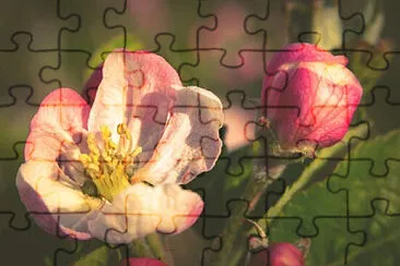 Toy jigsaw puzzle